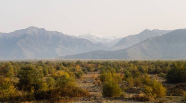 yüksek görkemli dağlar, sınırsız alanlar ve birçok ağaç, sıcak doğa