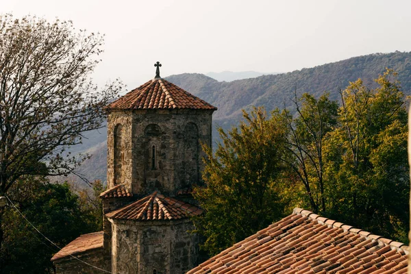 Egy ősi, sötét épület a kupola a háttérben a magas hegyek és erdők — Stock Fotó