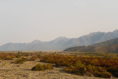 sınırsız sarı alanlar ve yamaçlar, yüksek görkemli dağlar, sıcak hava
