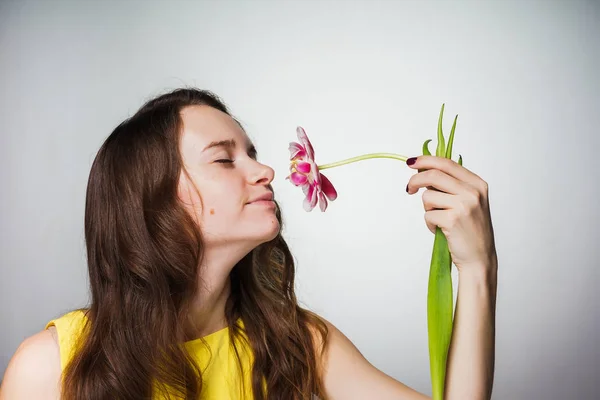 Hermosa hermosa joven oliendo una flor fragante, celebrando un día mundial de la mujer — Foto de Stock