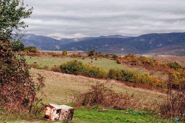 Paisagem inspiradora e natureza, majestosas montanhas e campos — Fotografia de Stock