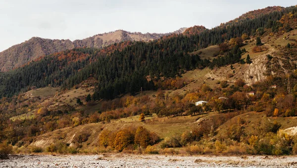 Paisagem de montanha inspiradora, as encostas são cobertas de plantas e árvores, a natureza de outono — Fotografia de Stock