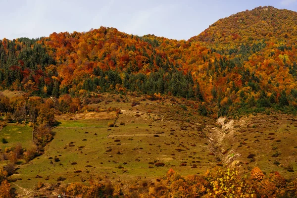 Naturaleza inspiradora y paisaje, las laderas de las montañas están cubiertas de plantas y árboles, naturaleza otoñal y sol —  Fotos de Stock