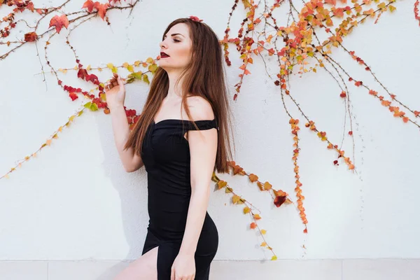 Hermosa chica de lujo en un vestido negro posando, disfrutando de una vida rica y relajante — Foto de Stock