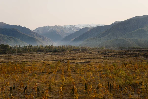 Doğa, sınırsız yeşil alanlar ve görkemli dağlar ilham verici