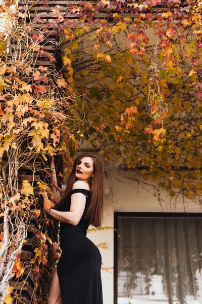 Een luxe jonge vrouw in een zwarte jurk poseren, een rijke vakantie — Stockfoto