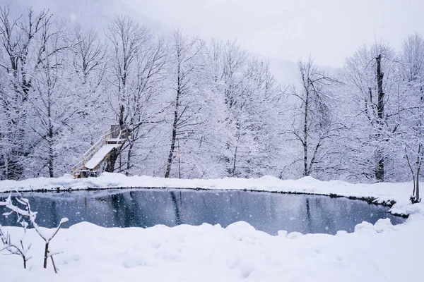 Erdő és a fák borított fehér hó, tó és sodródik, hideg téli táj — Stock Fotó