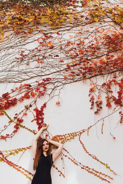 Chica atractiva de lujo posando sobre el fondo de una pared inusual, disfrutando de una vida rica y el descanso — Foto de Stock