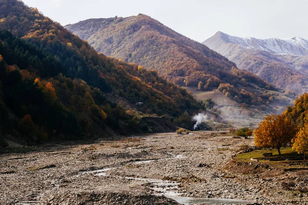 魔法の自然、雄大な山々 と空、斜面は木で覆われて — ストック写真