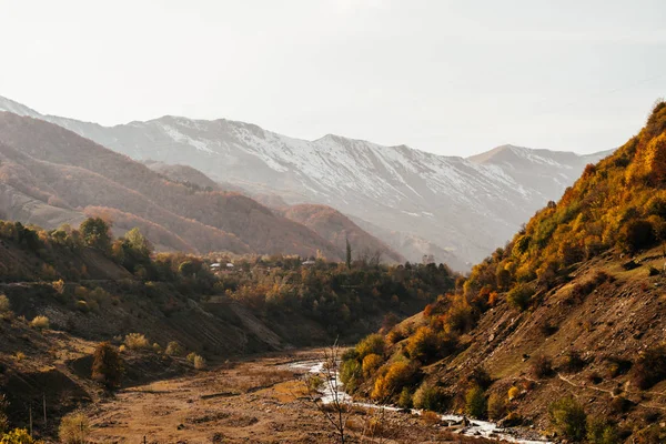 高山の雄大な自然の感動を与える白い雪、多くの植物や木々 で覆われています。 — ストック写真