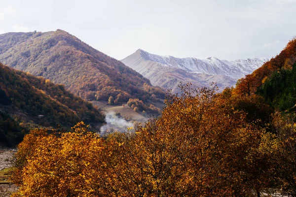 秋の天候に黄色の木々 が生い茂る雄大な山々、自然魔法 — ストック写真