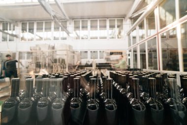 alkol fabrikası, birçok cam şişe şarap için