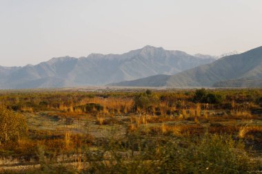 Dev dağlarla, sonsuz bitkiler, ilham verici bir manzara ile kaplı alanlar sarı