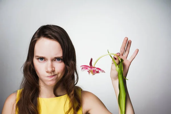 Uma jovem zangada está infeliz com um presente no dia de uma mulher do mundo, segura uma flor em sua mão — Fotografia de Stock