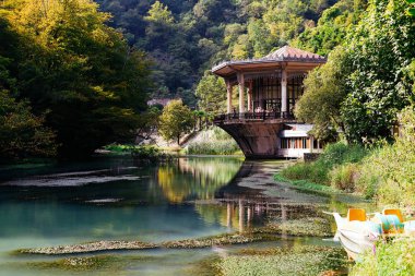 Yeşil orman arka plan üzerinde güzel nehir