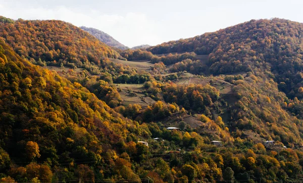 美しい山の風景、斜面と緑の木々 に覆われた丘 — ストック写真