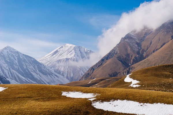 Charmante Natur, die hohen Berge des Kaukasus sind mit weißem Schnee bedeckt, unter dem blauen Himmel endlose gelbe Felder — Stockfoto