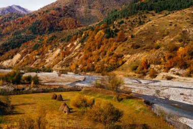 sihirli büyüleyici doğa ve manzara, dağ yamaçlarında ve kaplı ağaçlar ve bitkiler, sonbahar doğa ile güneşin hills