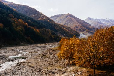 Sihirli doğa, yüksek dağlar ve tepeler ağaçlar, sonbahar soğuk hava ile kaplı
