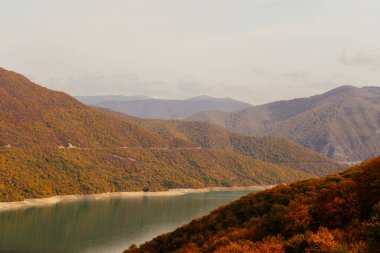 sihirli büyüleyici doğa, temiz sakin nehir ağaçlarıyla kaplı dağ yamaçlarında