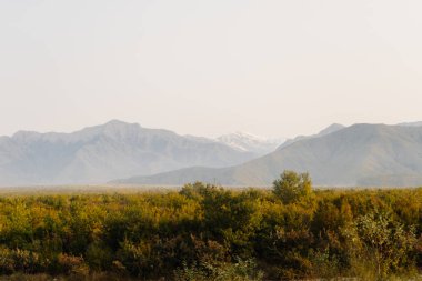 büyülü ilham verici doğa görkemli dağlar ve yamaçları, sonsuz yeşil çayırlar ve ormanlar