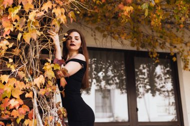 laxheri dinlenme üzerinde güzel zengin kadın sonbahar