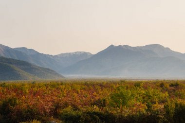 güzel dağlar arka planda yeşil alan