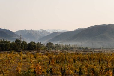 alan güzel Dağları arka planda