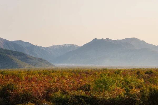 Green field in the background of beautiful mountains — Stock Photo, Image