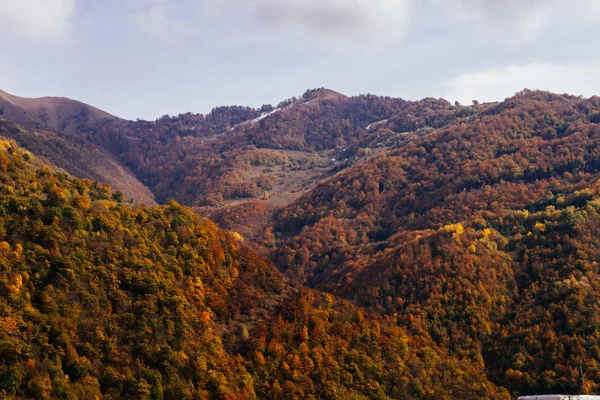 yüksek dağlar zemin karşı sonbahar orman