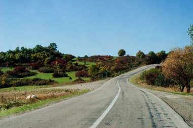 güneşli bir günde doğa arka plan üzerinde izlemek
