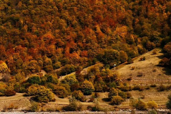 Encostas da montanha são cobertas com árvores verdes — Fotografia de Stock