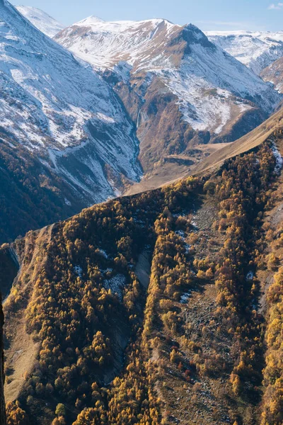 Mountains and hills covered with white snow,trees — Stock Photo, Image