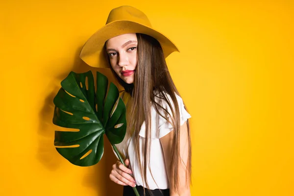 Pewni, że dziewczyna model piękny długowłosy w duży kapelusz posiada zielony liść i pozowanie na żółtym tle — Zdjęcie stockowe