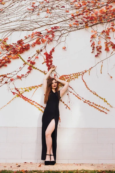 Luxuoso atraente jovem mulher em vestido preto posando contra a parede ao ar livre — Fotografia de Stock