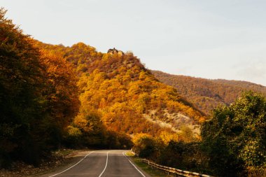 sihirli büyüleyici doğa, dağ yamaçlarında içinde güneş ışınlarının sarı ve yeşil ağaçları ile kaplıdır