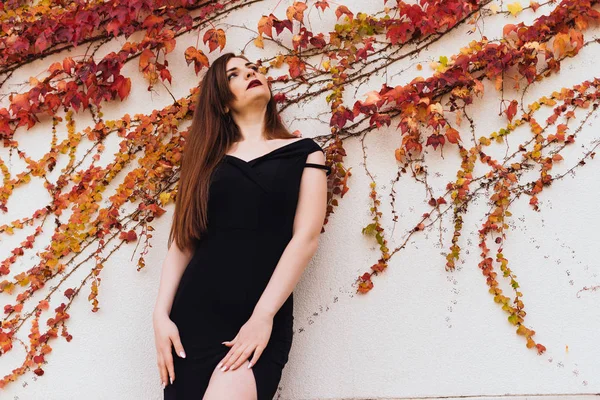 Sexy attractive girl in black dress posing against wall in park, enjoying rest — Stock Photo, Image