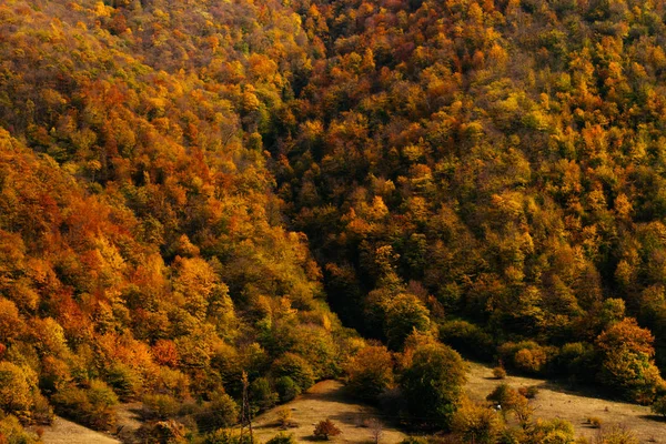 Natureza fascinante, as encostas da montanha são cobertas com árvores e plantas, nos raios do sol — Fotografia de Stock