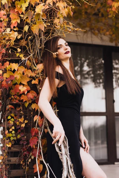 attractive sexy rich woman in a black dress posing in the park, enjoying a rich life