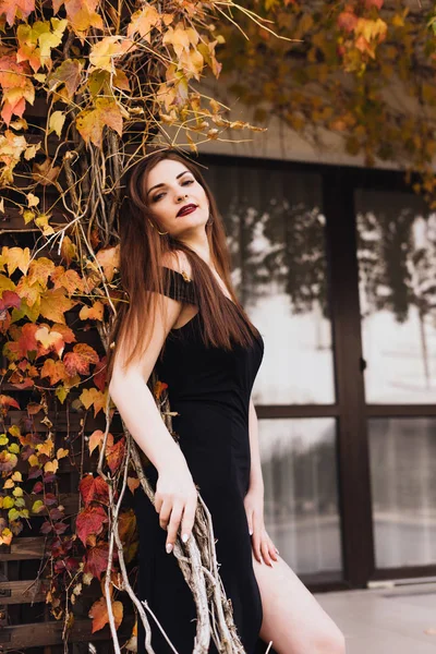 Atractiva mujer de pelo largo en un vestido negro caminando alrededor de su parque, posando contra la pared — Foto de Stock