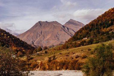 Sihirli doğa, dağ yamaçlarında bitkilerle kaplıdır ve ağaçlar, peyzaj