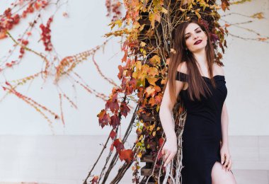 parkta poz ve gülümseyen, zengin bir hayat siyah elbiseli seksi lüks uzun saçlı kız