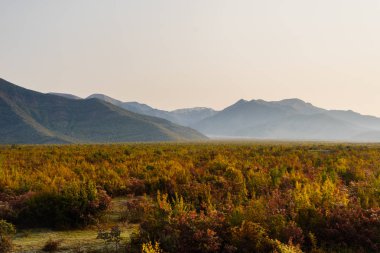 Doğa, sonsuz yeşil alanlar ve çayırlar, yüksek dağlar ve gökyüzü büyüleyici magic