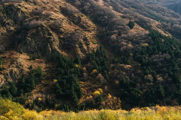 Magic nature and landscape, mountain slopes and hills are covered with green plants and trees