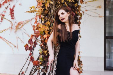 lüks zengin kadın siyah elbiseli ve uzun güzel saçlı Park duvara poz