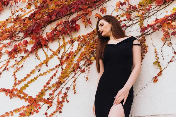 Mujer joven de pelo largo de lujo en un elegante vestido negro posando contra la pared en su jardín, descansando y relajándose — Foto de Stock