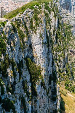 Yeşillik ve ağaçlarla kaplanmış bir uçurumun manzarası.