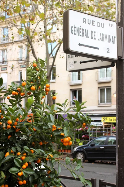 Parijse Straat Tekenen Citrusbomen — Stockfoto