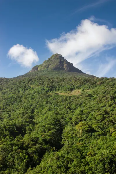 Srí Lanka Adam Peak Hory Modrá Obloha Zelená Stromy — Stock fotografie