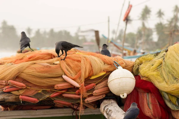 Black crows (ravens) sit on orange fishing nets